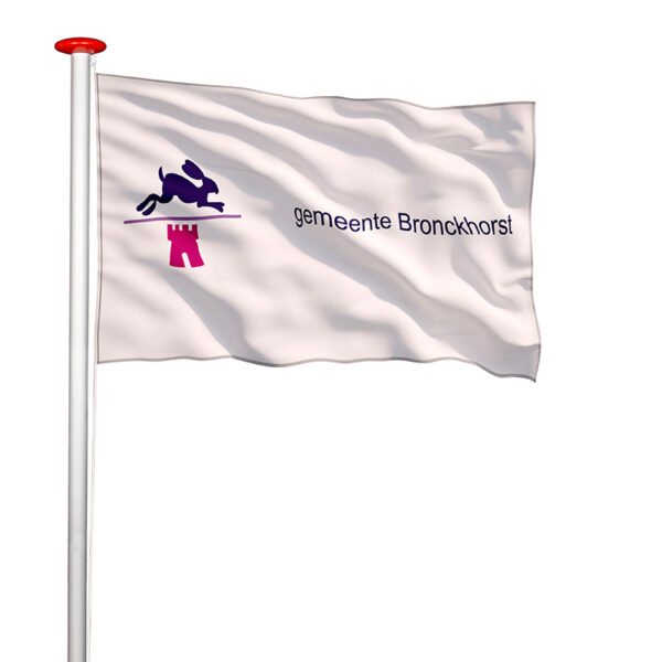 vlag Bronckhorst
