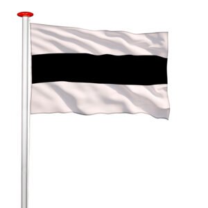 Vlag Delft