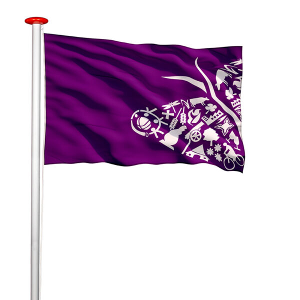 vlag Oost Gelre