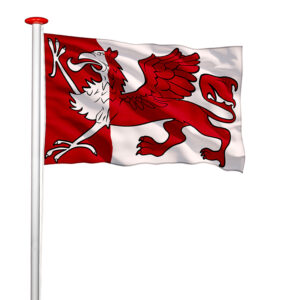 Vlag Ooststellingwerf