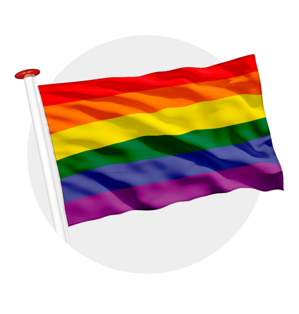 Regenboog vlag - LGBT pride vlag