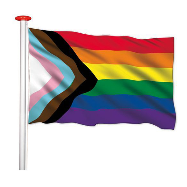 vlag Pride Progress - LGBT