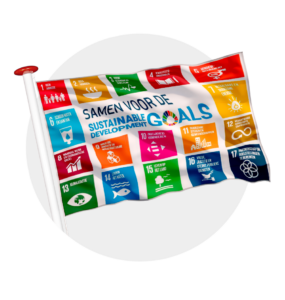 SDG vlag